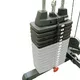 Doplňkové závaží Body-Solid SP50 - 2.jakost