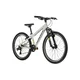 Odlehčené juniorské kolo Kross Dust JR 1.0 24" Gen 006 • 130-150 cm • 12,7 kg - šedá/černá/lesk